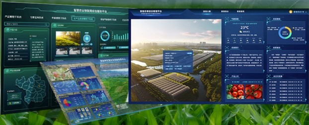 同类高校唯一！武昌理工学院项目获评2026年湖北省人工智能典型应用场景