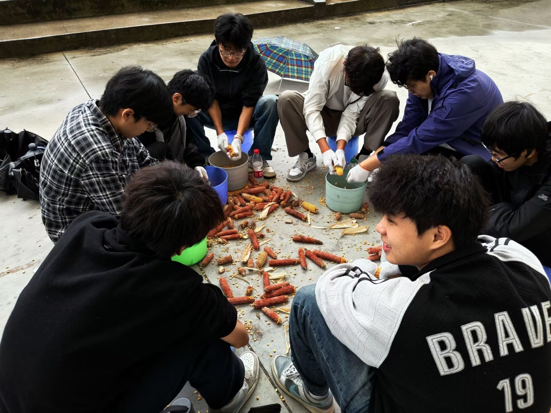 下地劳作、生火做饭！武昌理工学院学子在劳动中上好“成长必修课”